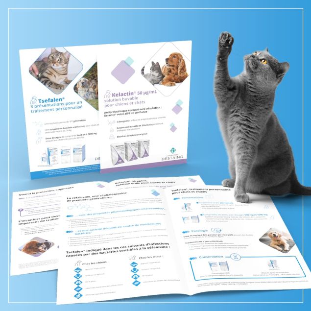 Création brochure à Grasse, dépliants et supports de com', agence de com' Lueur Externe