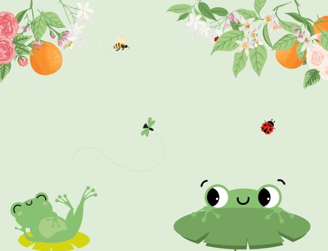 Création site web grasse agence web lueur externe