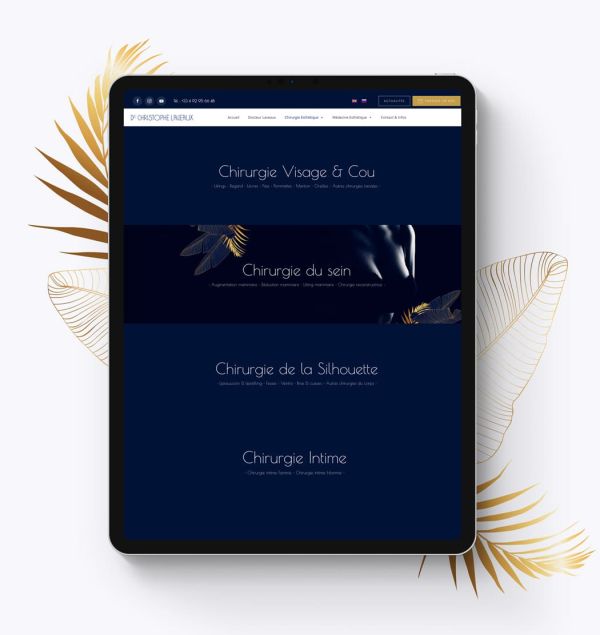 Création site internet Chirurgien Esthétique à Cannes, Alpes Maritimes