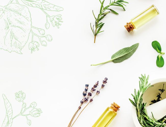 Création site web Laboratoire Côte d'Azur