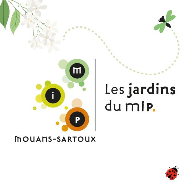 Développement site internet à Grasse agence web lueur externe