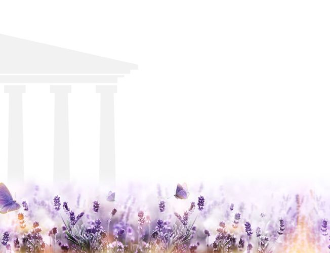 Développement site web hôtel par Lueur Externe, Agence web à Grasse