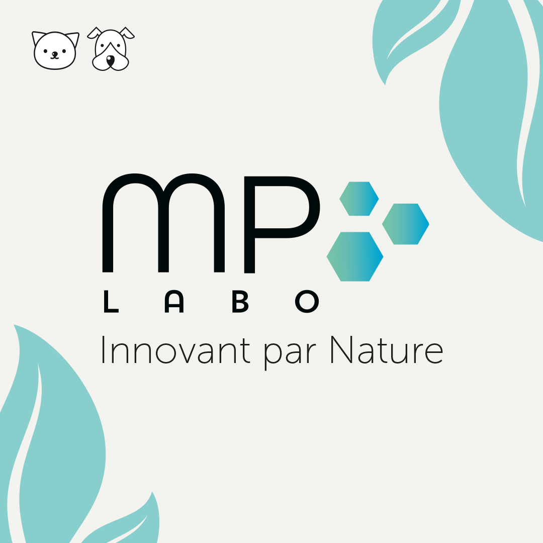 Création Graphique Laboratoire Santé Animale - Agence de com' 06